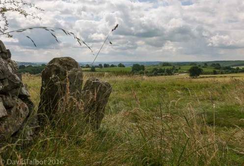 t9qkgf8leeag5rl6-p1mnw_15fe5701660dcf9a8d0594199241aba8_leadminefield1k-_1-of-1_